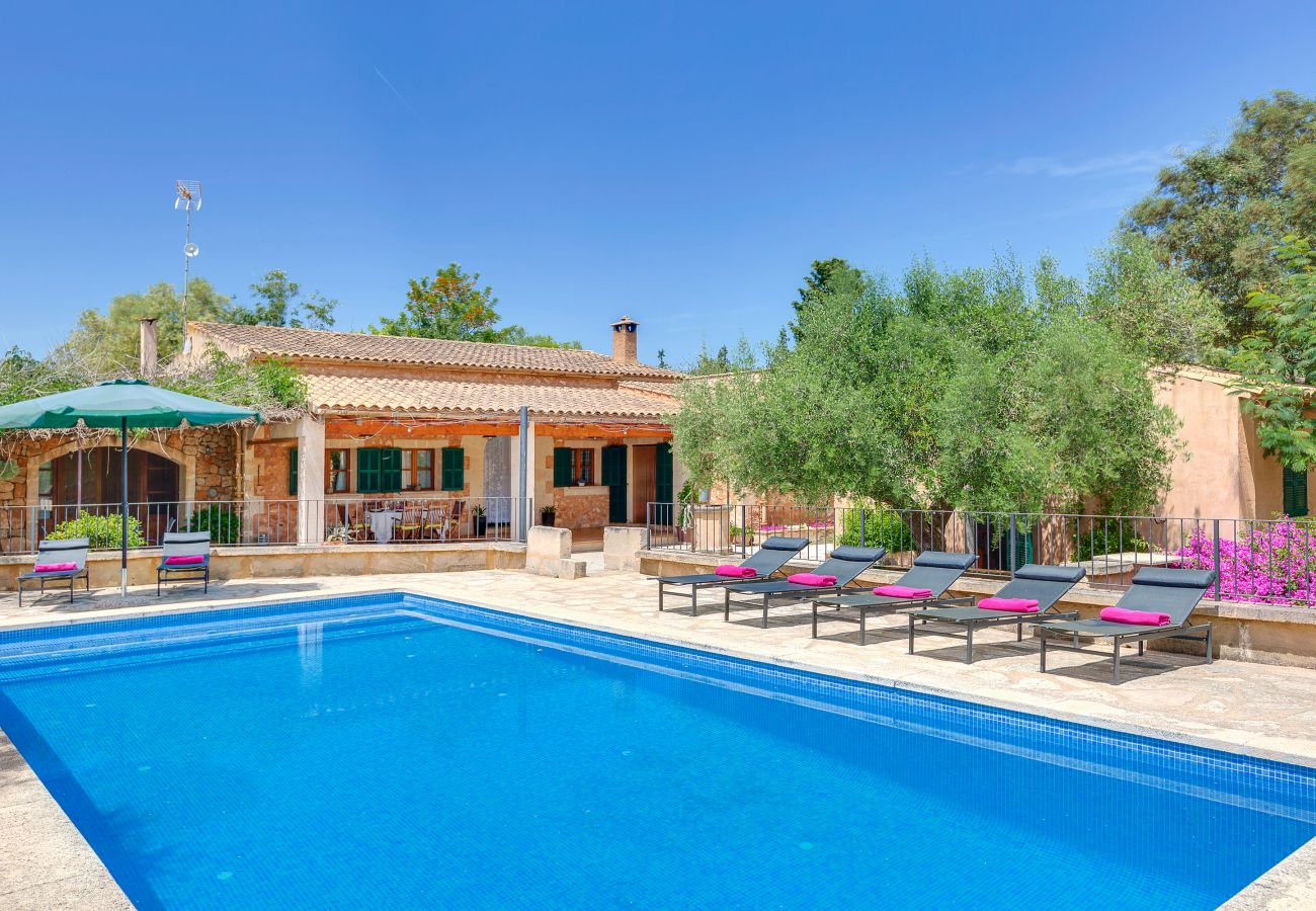 Villa Manacor Schwimmbad