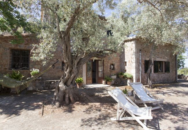 Villa Es Cocó Sóller Garten