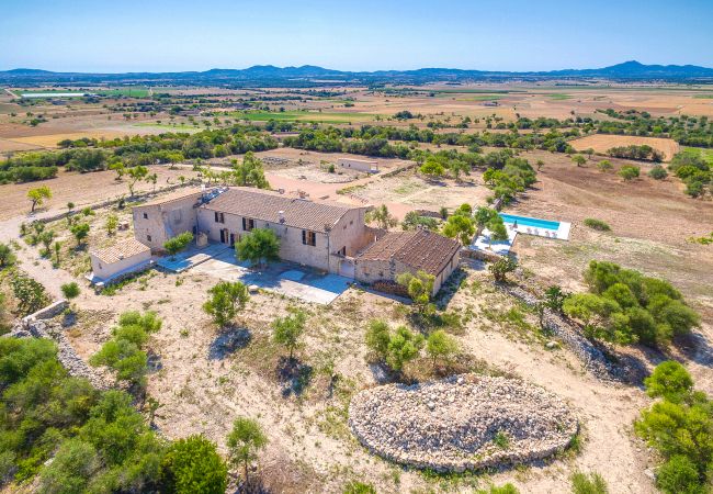 Villa in Vilafranca de Bonany - VILLA VILAFRANCA