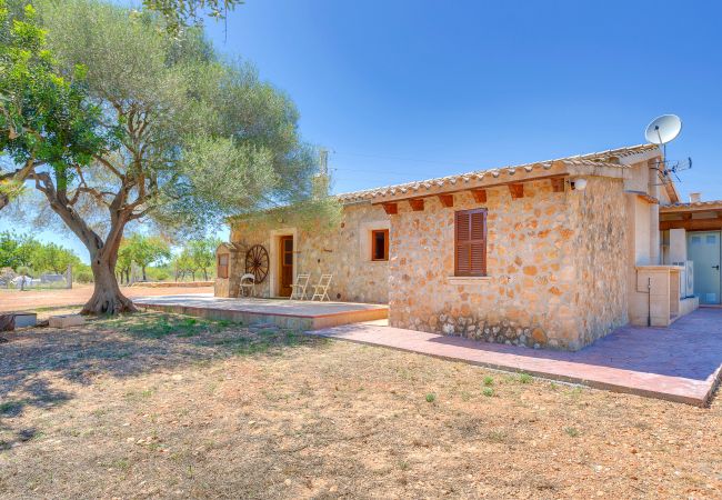 Villa in Calvià - VILLA CALVIA by Priority Villas Villa in Calvià - VILLA CALVIA by Priority Villas