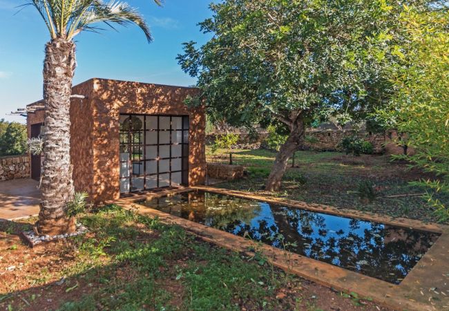 Finca Son Cifre  Draußen