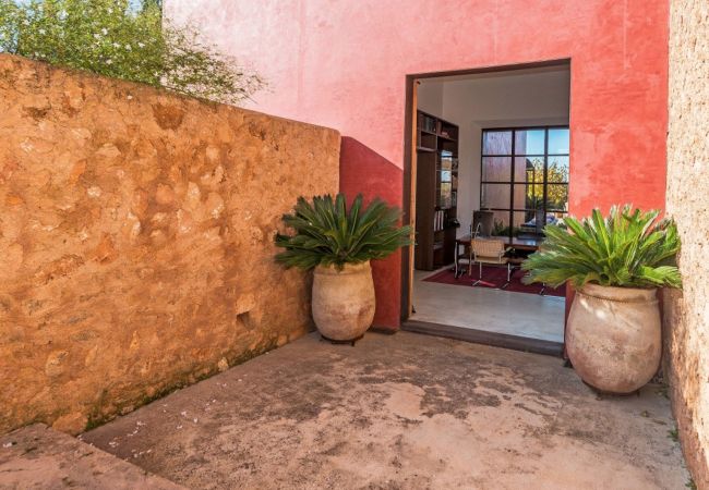 Finca Son Cifre  Draußen