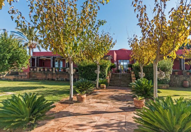 Villa in Manacor - FINCA SON CIFRE by Priority Villas Villa in Manacor - FINCA SON CIFRE by Priority Villas