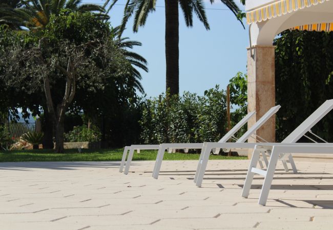 Villa in Marratxi - VILLA CAN RIBES - OASIS PALMA Villa in Marratxi - VILLA CAN RIBES - OASIS PALMA