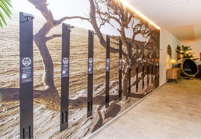 Fahrräder urlaub Finca Luxury Home Palma Mallorca