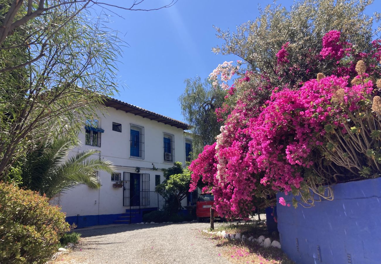 Villa in Álora  - BOHEMIAN VILLA MÁLAGA Villa in Álora  - BOHEMIAN VILLA MÁLAGA