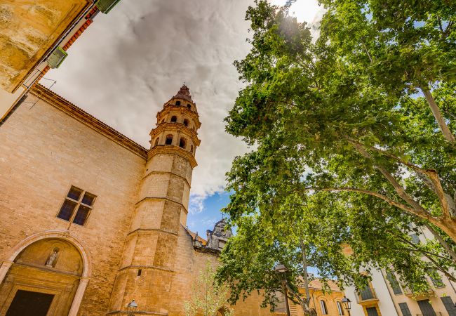 Ferienwohnung in Palma de Mallorca - DUPLEX PALMA APARTMENT ETV/5551 Ferienwohnung in Palma de Mallorca - DUPLEX PALMA APARTMENT ETV/5551