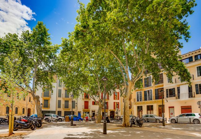 Ferienwohnung in Palma de Mallorca - DUPLEX PALMA APARTMENT ETV/5551 Ferienwohnung in Palma de Mallorca - DUPLEX PALMA APARTMENT ETV/5551