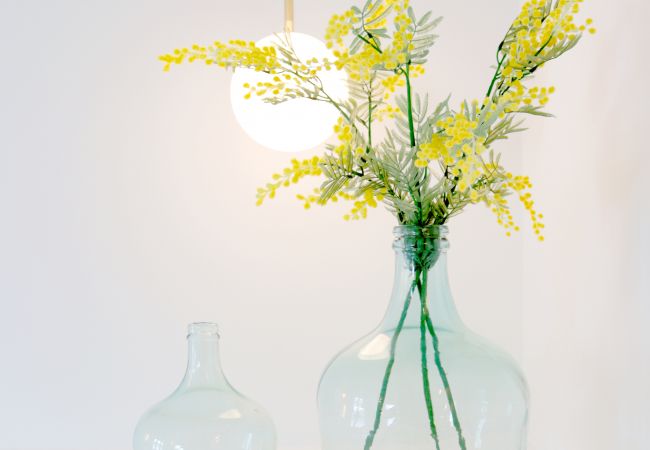 Zimmeranmietung in Esporlas - SON MELT ESPORLES - STANDARD 4 Zimmeranmietung in Esporlas - SON MELT ESPORLES - STANDARD 4