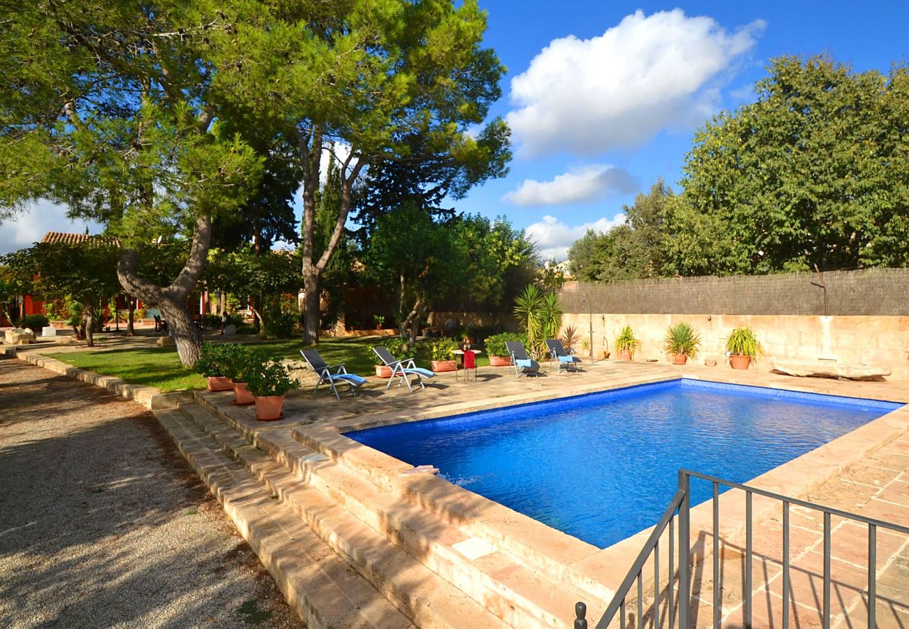 Villa in Consell - VILLA CAS COSINET by PriorityVillas Villa in Consell - VILLA CAS COSINET by PriorityVillas