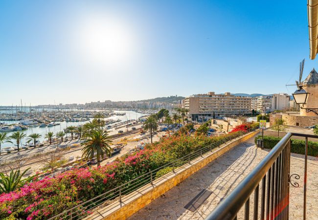Ferienwohnung in Palma de Mallorca - CASA LEA - TERRER 6 Ferienwohnung in Palma de Mallorca - CASA LEA - TERRER 6
