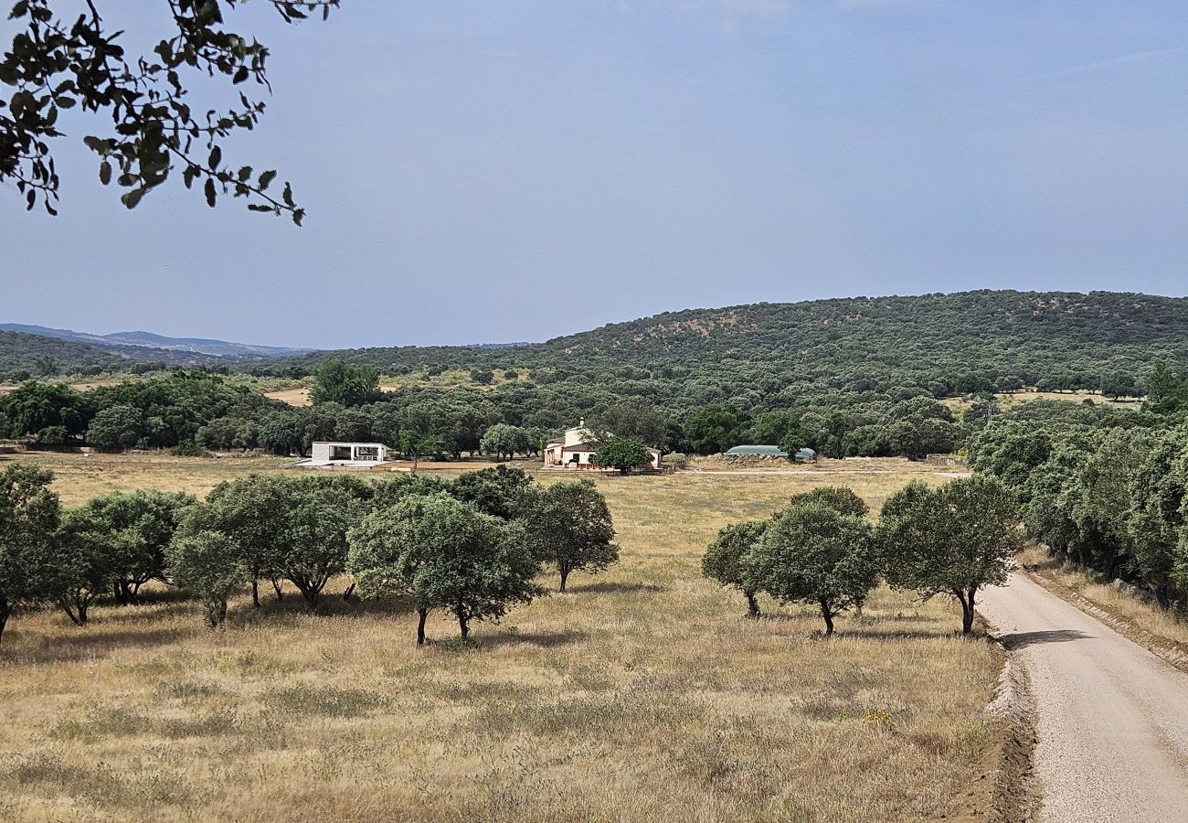 Landhaus in Badajoz - FINCA EL ALAMO - BARCARROTA Landhaus in Badajoz - FINCA EL ALAMO - BARCARROTA