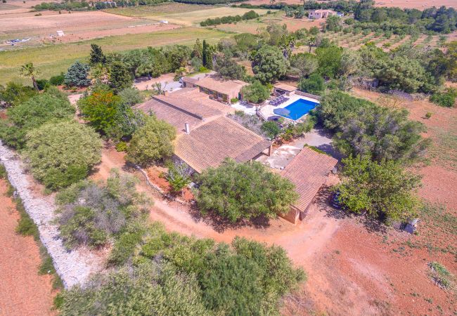 Villa en Manacor - VILLA MANACOR