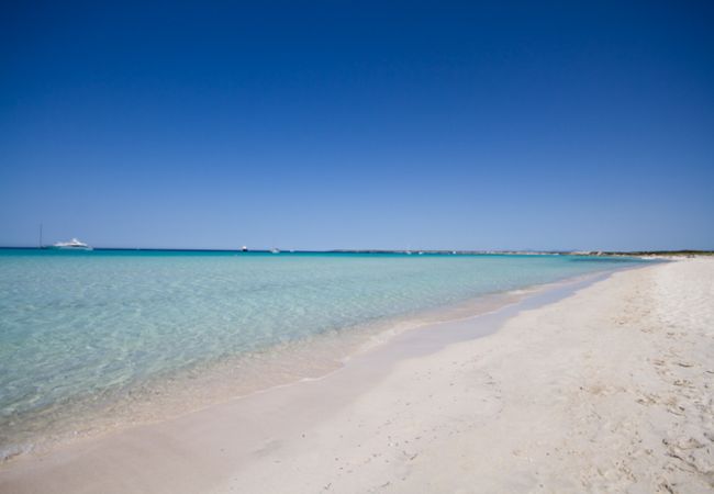 Villa en Campos - VILLA ES TRENC - CAN RIERA Villa en Campos - VILLA ES TRENC - CAN RIERA