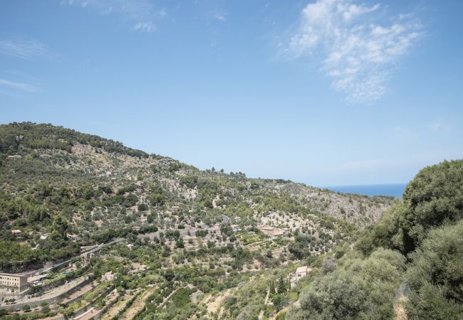 Vistas