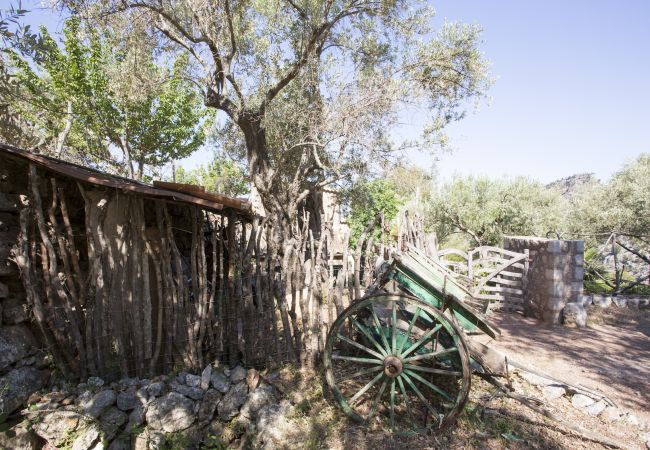 Villa en Sóller - VILLA ES COCO SOLLER Villa en Sóller - VILLA ES COCO SOLLER
