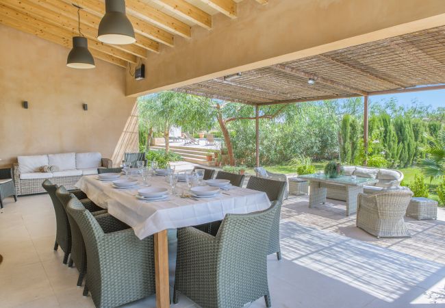 Terraza