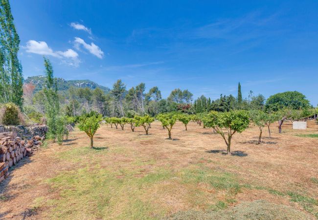 Villa en Esporlas - VILLA CAN SION Villa en Esporlas - VILLA CAN SION