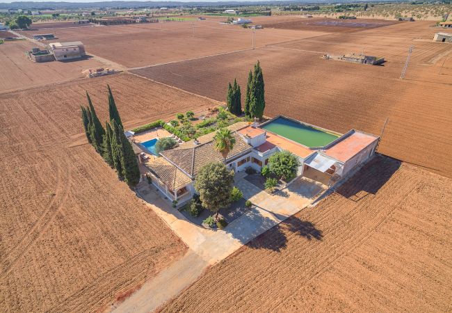 Villa en Sa Pobla - VILLA SILENCI