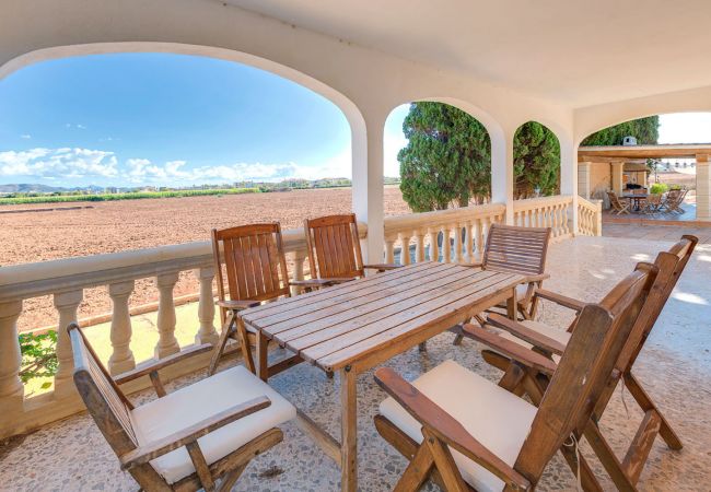 Terraza