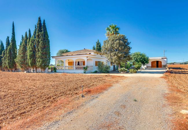 Villa en Sa Pobla - VILLA SILENCI