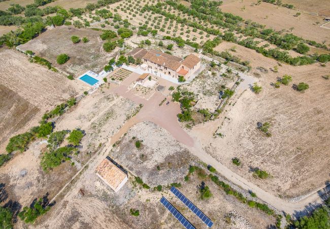 Villa en Vilafranca de Bonany - CASES D'ALCUDIARROM VILAFRANCA Villa en Vilafranca de Bonany - CASES D'ALCUDIARROM VILAFRANCA