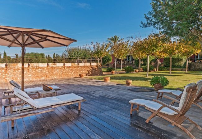 Terraza
