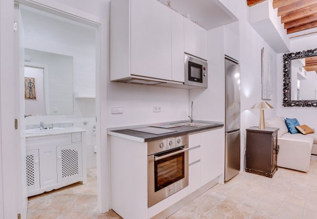Apartamento en Palma de Mallorca - VINTAGE PALMA PALACE (PATIO) TI/200