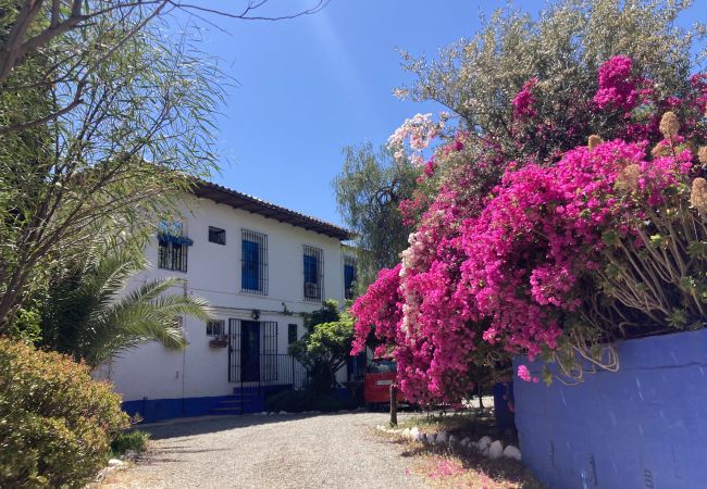 Villa en Álora  - BOHEMIAN VILLA MÁLAGA Villa en Álora  - BOHEMIAN VILLA MÁLAGA