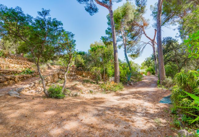 Apartamento en Costa de los Pinos - SES ALZINES APARTMENT Apartamento en Costa de los Pinos - SES ALZINES APARTMENT