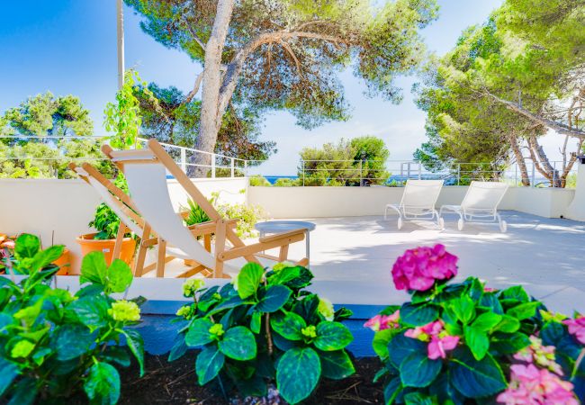 Apartamento en Costa de los Pinos - SES ALZINES APARTMENT Apartamento en Costa de los Pinos - SES ALZINES APARTMENT