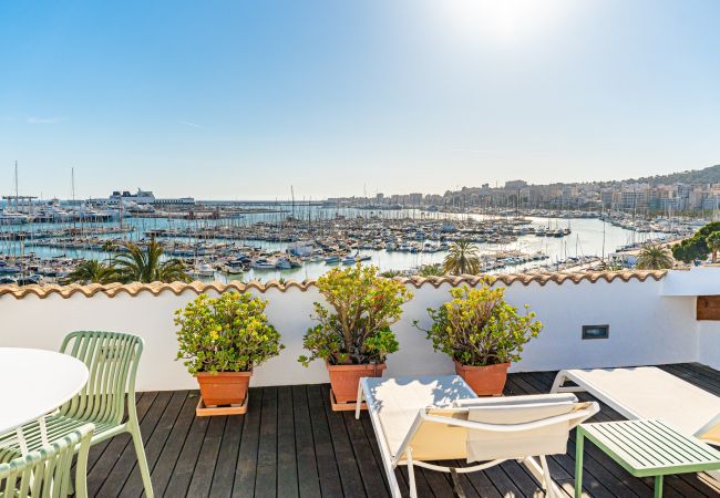Apartamento en Palma de Mallorca - CASA LEA - TERRER 6 Apartamento en Palma de Mallorca - CASA LEA - TERRER 6