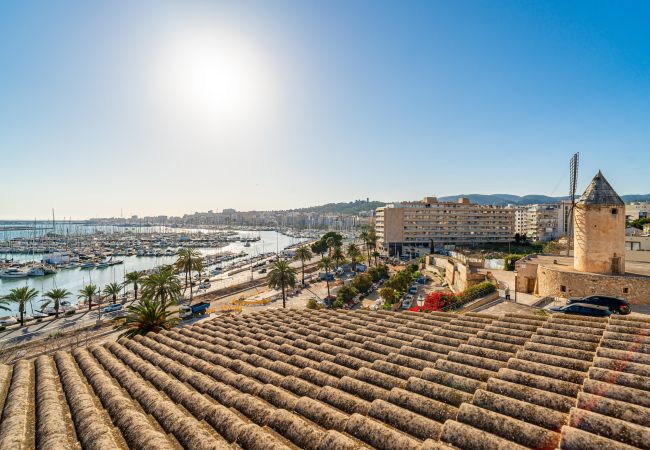 Apartamento en Palma de Mallorca - CASA LEA - TERRER 6 Apartamento en Palma de Mallorca - CASA LEA - TERRER 6