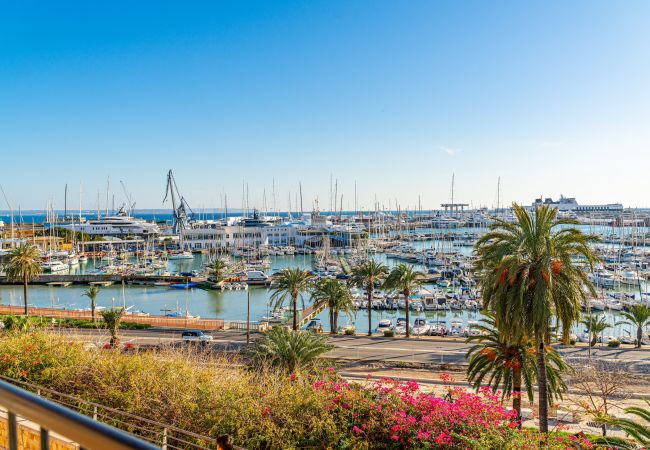 Apartamento en Palma de Mallorca - CASA LEA - TERRER 6 Apartamento en Palma de Mallorca - CASA LEA - TERRER 6