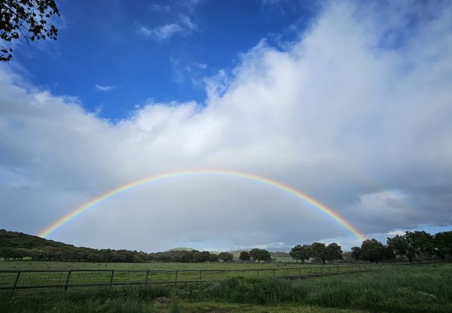 Casa rural en Badajoz - FINCA EL ALAMO - BARCARROTA Casa rural en Badajoz - FINCA EL ALAMO - BARCARROTA