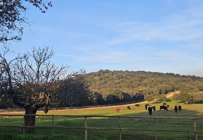 Casa rural en Badajoz - FINCA EL ALAMO - BARCARROTA Casa rural en Badajoz - FINCA EL ALAMO - BARCARROTA