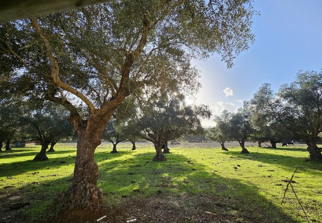 Casa rural en Badajoz - FINCA EL ALAMO - BARCARROTA Casa rural en Badajoz - FINCA EL ALAMO - BARCARROTA