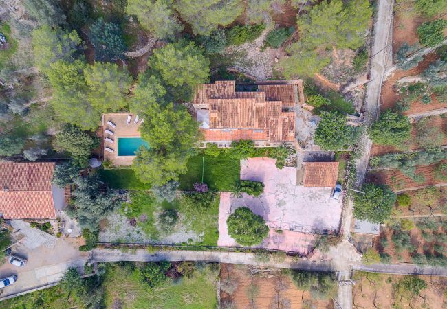 Villa in Alaro - VILLA ES PINAR ALARO by Priority