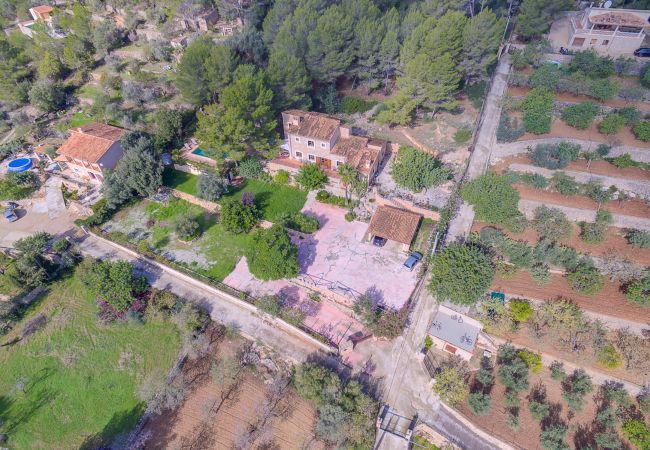 Villa in Alaro - VILLA ES PINAR ALARO by Priority