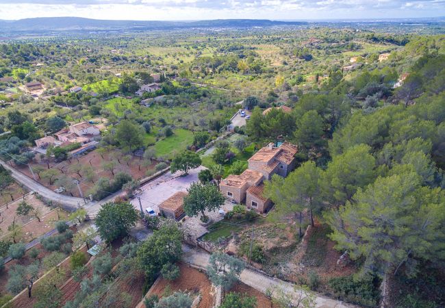 Villa in Alaro - VILLA ES PINAR ALARO by Priority
