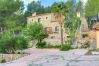 Facade stone palm trees