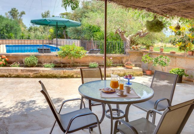 Villa in Manacor - VILLA MANACOR