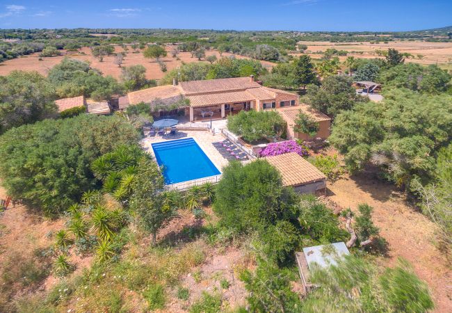 Villa in Manacor - VILLA MANACOR