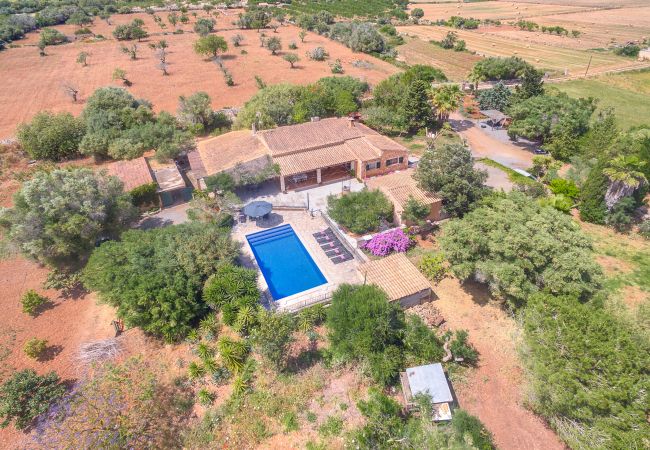 Villa in Manacor - VILLA MANACOR