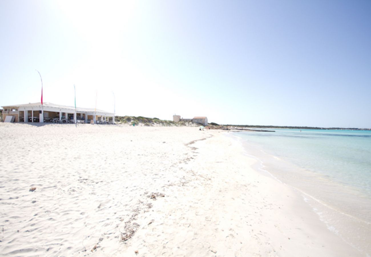 Villa in Campos - VILLA ES TRENC - CAN RIERA Villa in Campos - VILLA ES TRENC - CAN RIERA