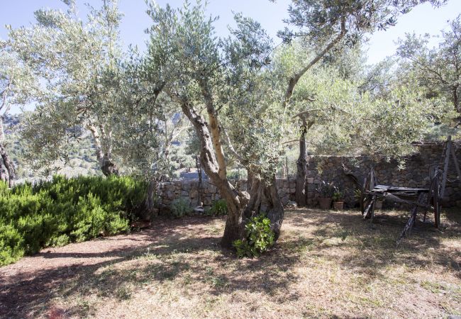 Villa in Sóller - VILLA ES COCO SOLLER