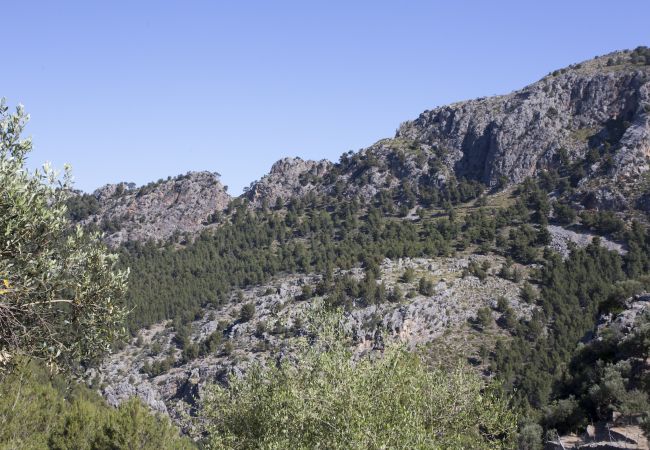 Villa in Sóller - VILLA ES COCO SOLLER