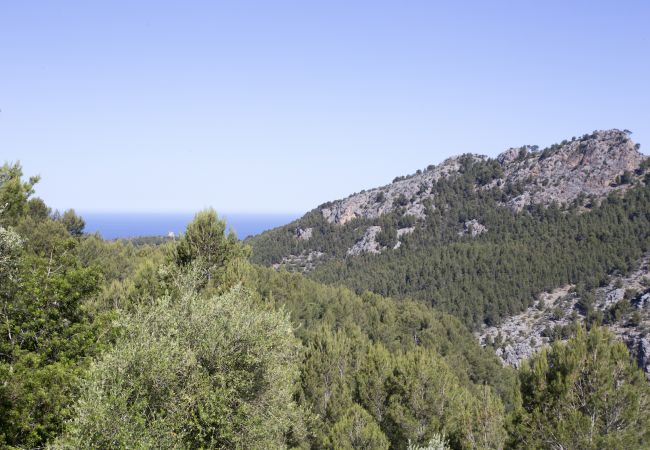 Villa in Sóller - VILLA ES COCO SOLLER