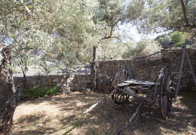 Villa in Sóller - VILLA ES COCO SOLLER