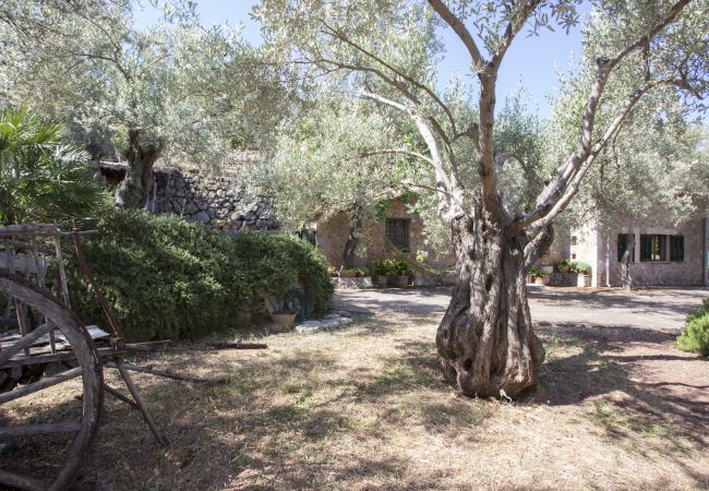 Villa in Sóller - VILLA ES COCO SOLLER
